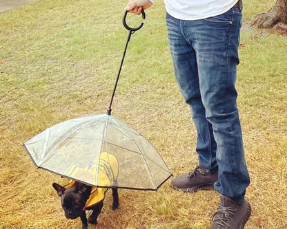 Dog Umbrella